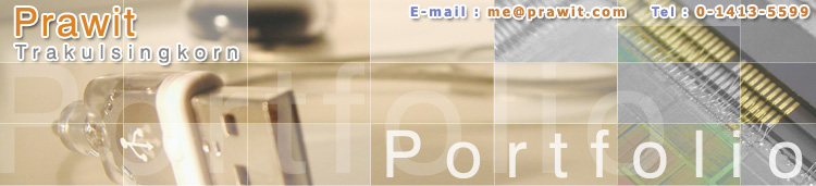 logo and header of website prawit.com